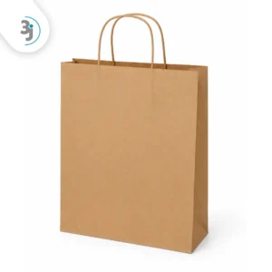 Kraft Paper Bag - (SO40) 280X360X15/HND